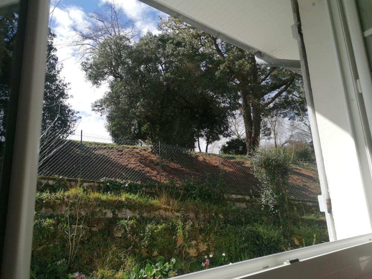 Apartment Douillet Proche Arcachon